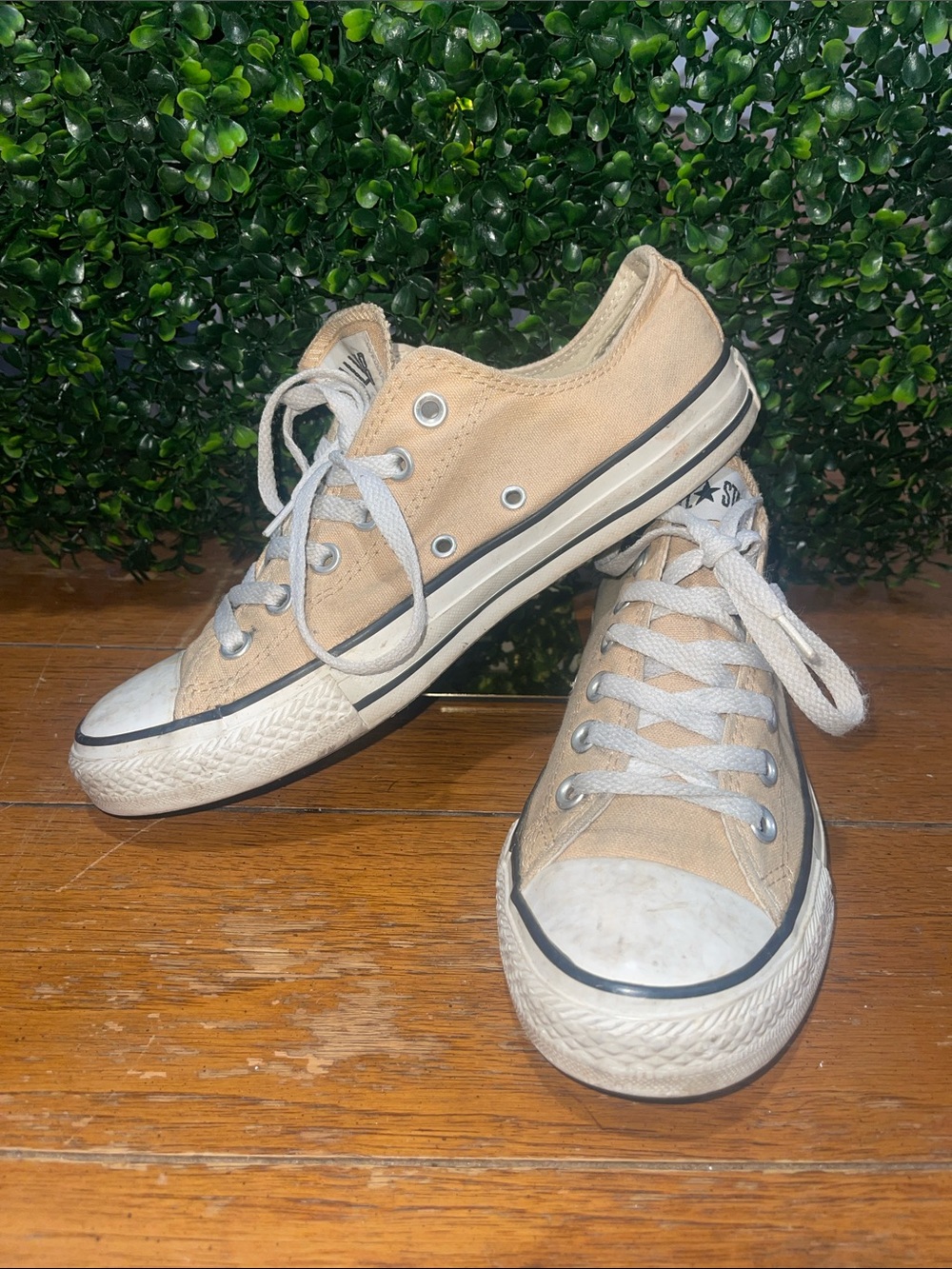 Converse Low Top Canvas Sneakers in Beige